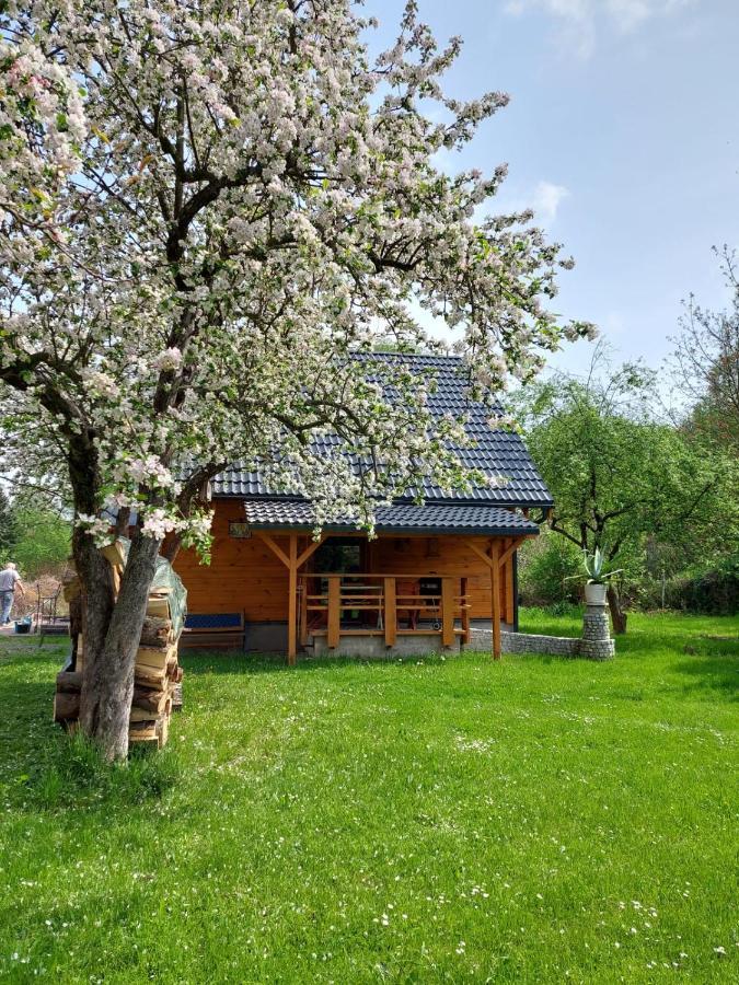 Marel-apartments Eva - Zdroj Holiday home *
